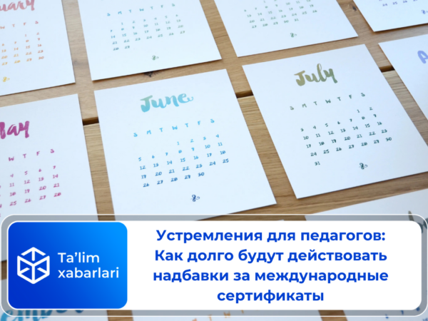 Стимулы для педагогов: Как долго будут действовать надбавки за международные сертификаты