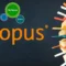 O‘zbekistonda Scopus bo‘yicha qaysi oliygohlar yetakchi? 