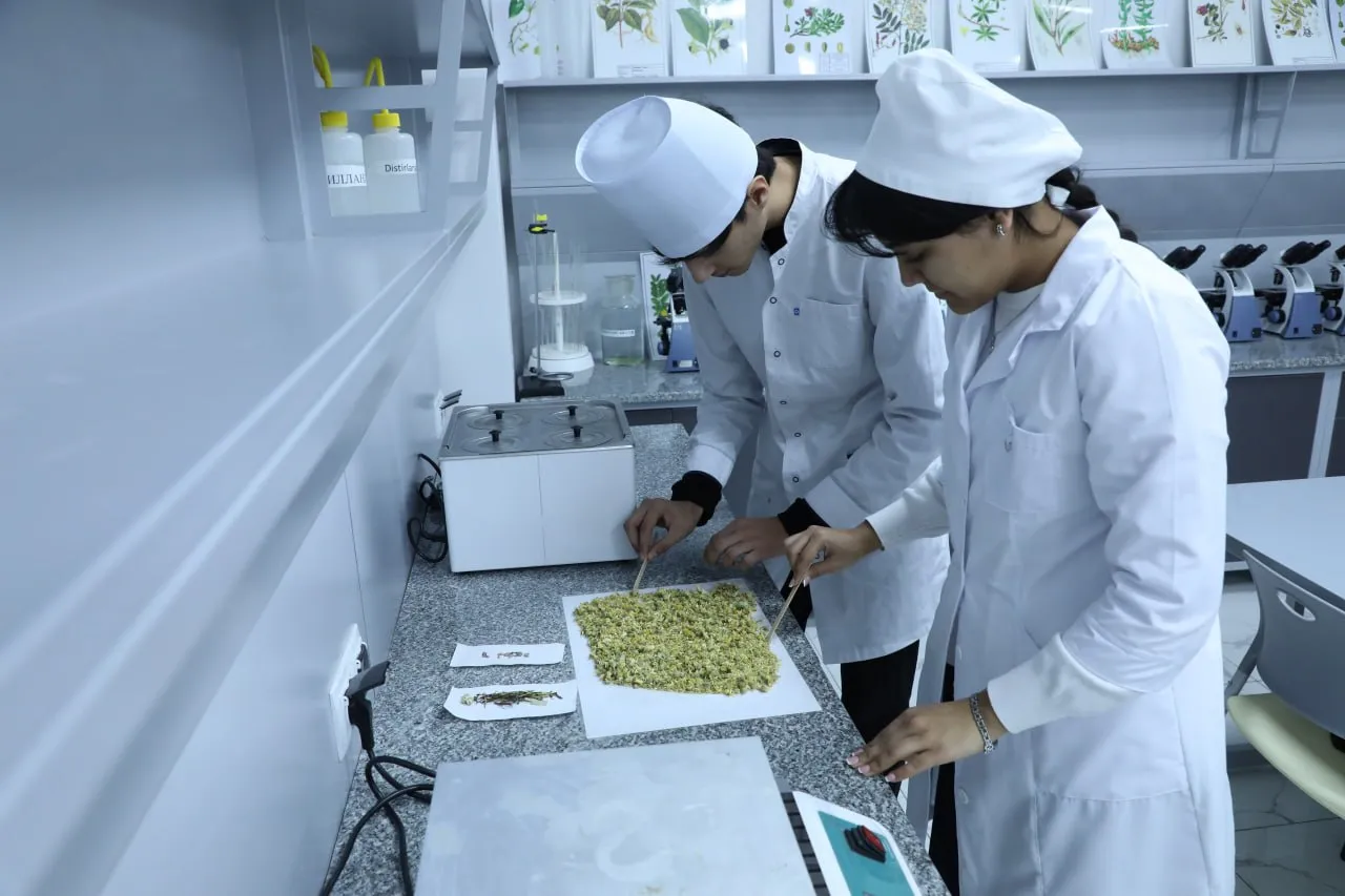 Zamonaviy ta’lim, xalqaro imkoniyatlar va mustahkam kelajak: nega yoshlar Farmatsevtika ta’lim va tadqiqot institutini tanlamoqda?