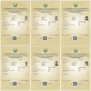 “Esse yozishga ko‘proq urg‘u berdik”: Angrenda bir maktabning 70 nafardan ortiq o‘quvchisi o‘zbek tili va adabiyotidan sertifikatga ega bo‘ldi