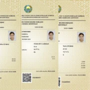 “Maqsad sari qat’iyat bilan intilsangiz, har qanday cho‘qqini zabt etish mumkin” — milliy sertifikat sohibasi bilan suhbat