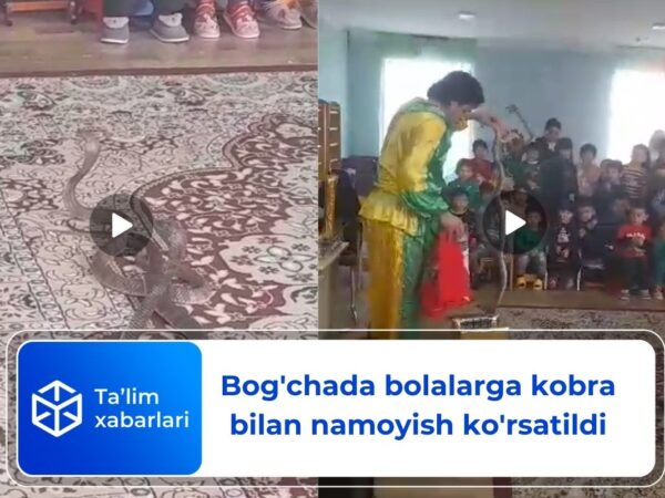 Bog’chada bolalarga kobra bilan namoyish ko’rsatildi