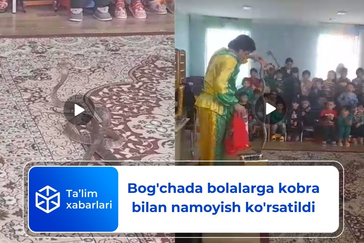 Bog’chada bolalarga kobra bilan namoyish ko’rsatildi