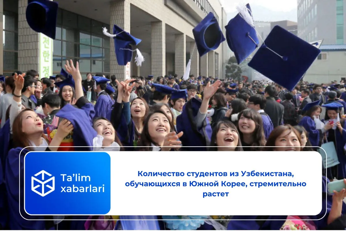 Количество студентов из Узбекистана, обучающихся в Южной Корее, стремительно растет
