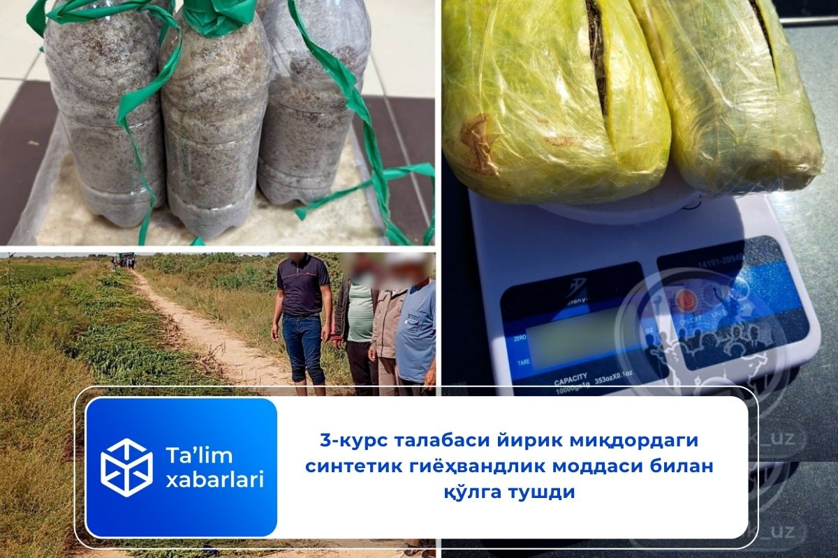 3-курс талабаси йирик миқдордаги синтетик гиёҳвандлик моддаси билан қўлга тушди