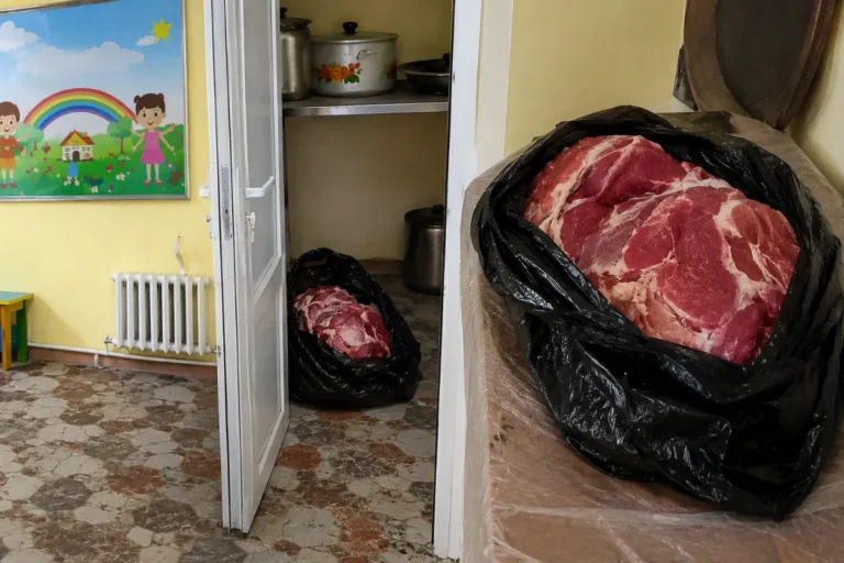 Farg‘onadagi bog‘chada bolalar uchun ajratilgan go‘sht yashirilgani aytilmoqda