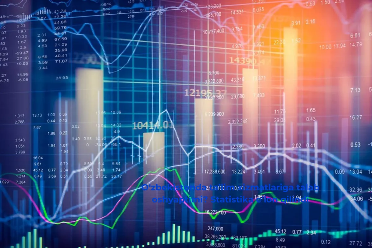 O‘zbekistonda ta’lim xizmatlariga talab oshyaptimi? Statistika e’lon qilindi