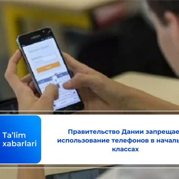 Правительство Дании запрещает использование телефонов в начальных классах