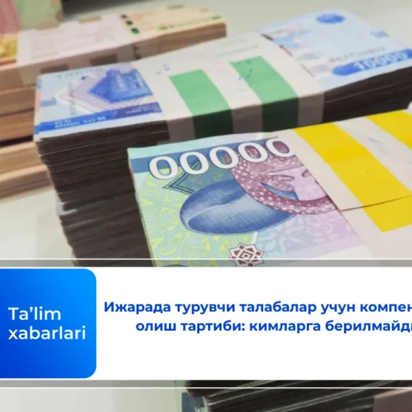 Ижарада турувчи талабалар учун компенсация олиш тартиби: кимларга берилмайди?