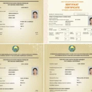 “Asosiy fanlarga 1,5 yil tayyorlandim”: samarqandlik o‘quvchi qiz muddatidan avval 189 ballni naqd qildi