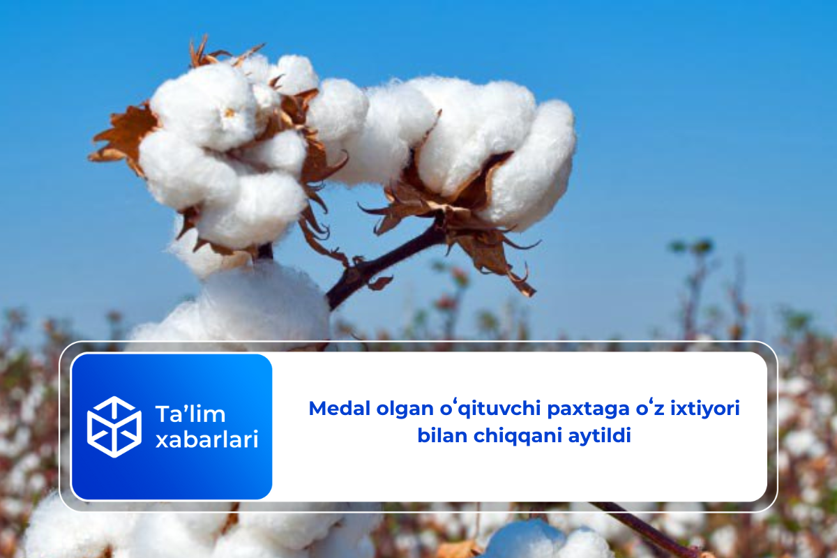 Medal olgan oʻqituvchi paxtaga oʻz ixtiyori bilan chiqqani aytildi