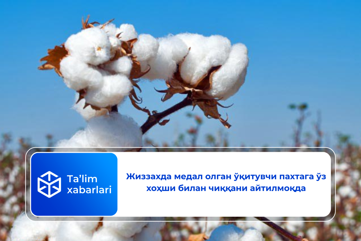Жиззахда медал олган ўқитувчи пахтага ўз хоҳши билан чиққани айтилмоқда