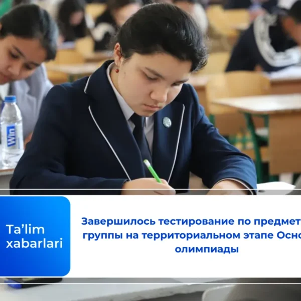 Завершилось тестирование по предметам 1-й группы на территориальном этапе Основной олимпиады