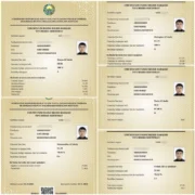 ‘‘Ko‘p tanqidlarga uchraganman..’’: Surxondaryoda yana bir o‘quvchi muddatidan avval talaba bo‘lish imkonini qo‘lga kiritdi