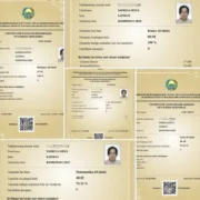 Yana bir surxondaryolik o‘quvchi 5 ta fandan milliy sertifikat olib, muddatidan oldin 189 ballni naqd qildi