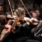 Musiqa va ta’lim uyg‘unligi: Niderlandiyada talabalar konsert zalida dars qilmoqda