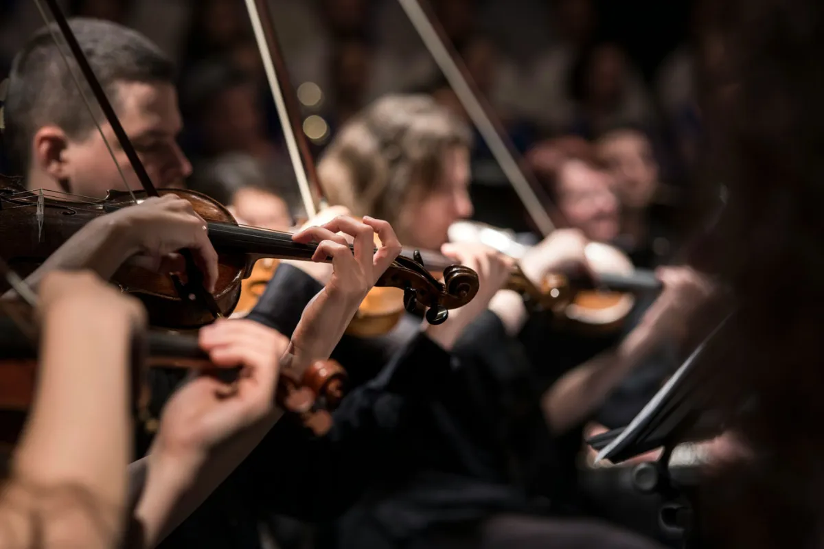 Musiqa va ta’lim uyg‘unligi: Niderlandiyada talabalar konsert zalida dars qilmoqda