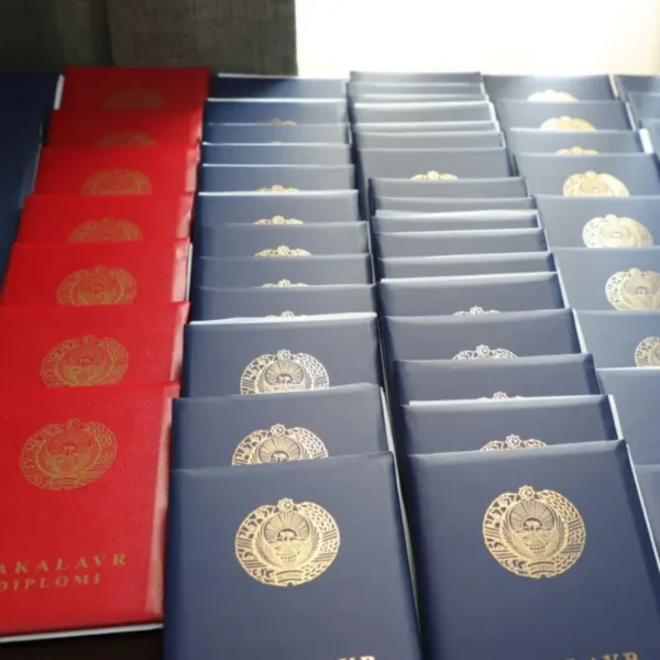 Diplom ma’lumotlari davlat axborot tizimlariga qanday kiritiladi?