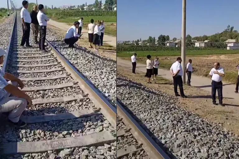 Surxondaryoda pedagoglar obodonlashtirish ishlariga jalb etilayotgani aytilmoqda (video)