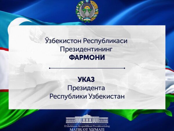 В связи с Днём учителей и наставников награждены сотрудники, проявившие особый пример в системе образования и воспитания