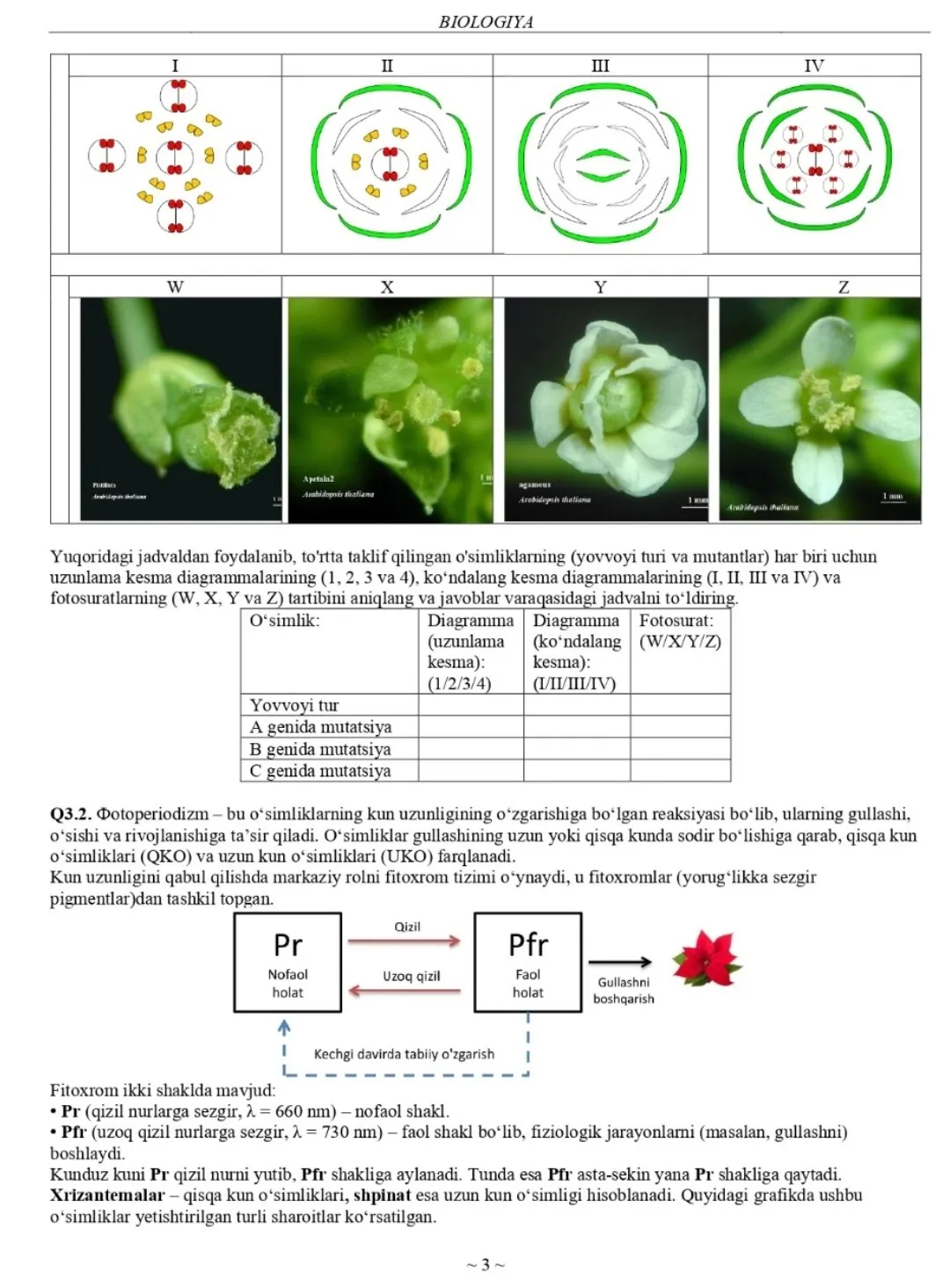 Tabiiy fanlardan 2024/2025-o‘quv yilgi Asosiy olimpiadaning Respublika bosqichi yozma ish topshiriqlari