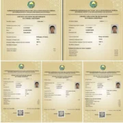 “Har kuni ertalab soat 4:00 da turib dars qilardim”: muddatidan oldin 189 ball to‘plagan navoiylik o‘quvchi bilan suhbat