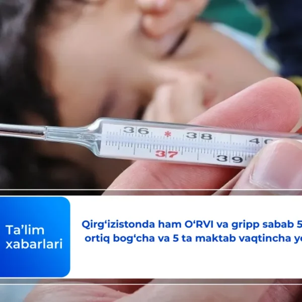 Qirg‘izistonda ham O‘RVI va gripp sabab 50 dan ortiq bog‘cha va 5 ta maktab vaqtincha yopildi