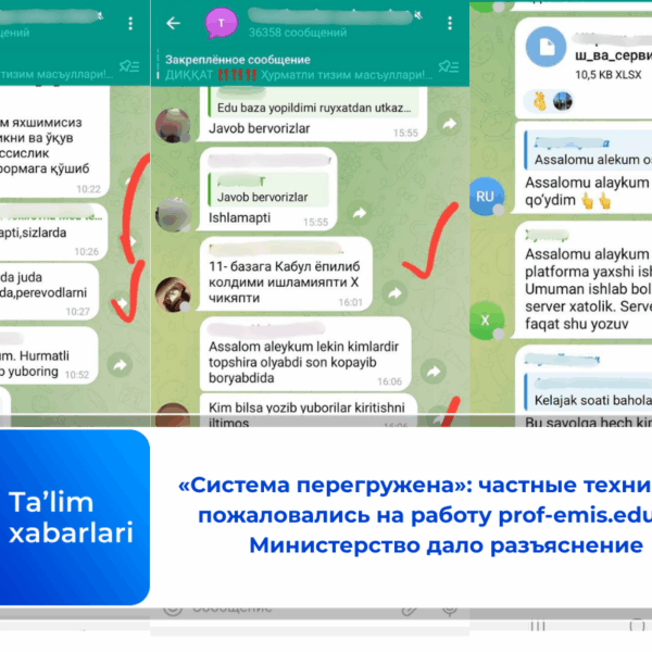 «Система перегружена»: частные техникумы пожаловались на работу prof-emis.edu.uz. Министерство дало разъяснение