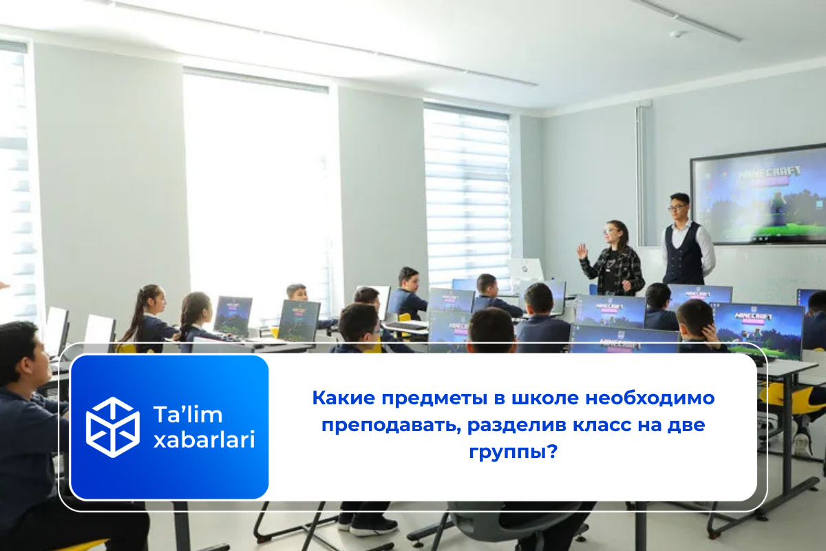 Какие предметы в школе необходимо преподавать, разделив класс на две группы?