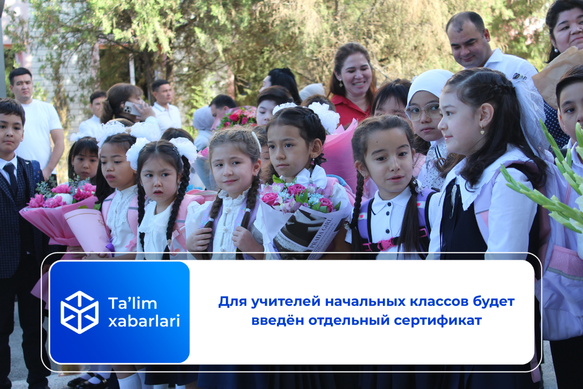 Для учителей начальных классов будет введён отдельный сертификат