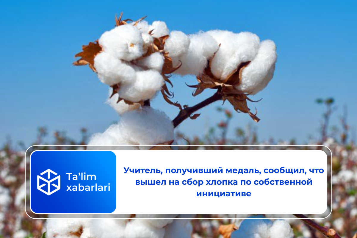 Учитель, получивший медаль, сообщил, что вышел на сбор хлопка по собственной инициативе