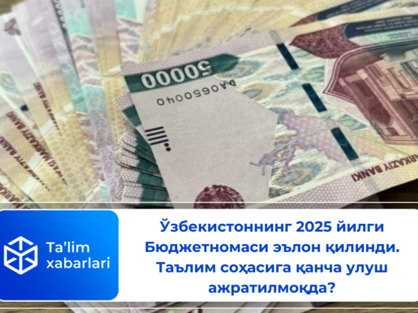 Ўзбекистоннинг 2025 йилги Бюджетномаси эълон қилинди. Таълим соҳасига қанча улуш ажратилмоқда?