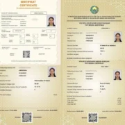 “Maqsadga aylantirmasangiz, natija bo‘lmaydi”: muddatidan oldin talaba bo‘lgan qashqadaryolik o‘quvchi