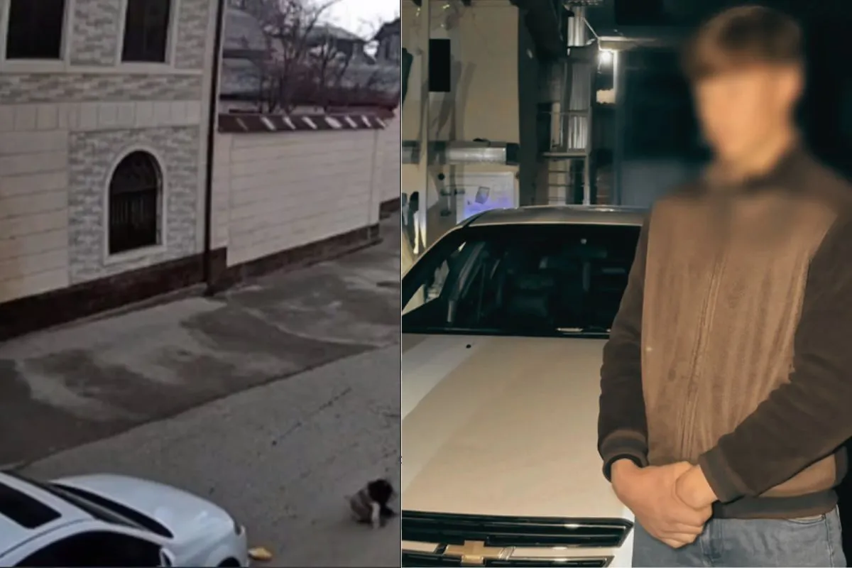 Samarqandda maktab o‘quvchisi 5 yoshli qizchani mashinada urib yubordi