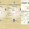“189 ball — imkonsiz natija emas, bu shunchaki to‘g‘ri reja mahsuli”: qashqadaryolik o‘quvchi muddatidan oldin maksimal ball to‘pladi
