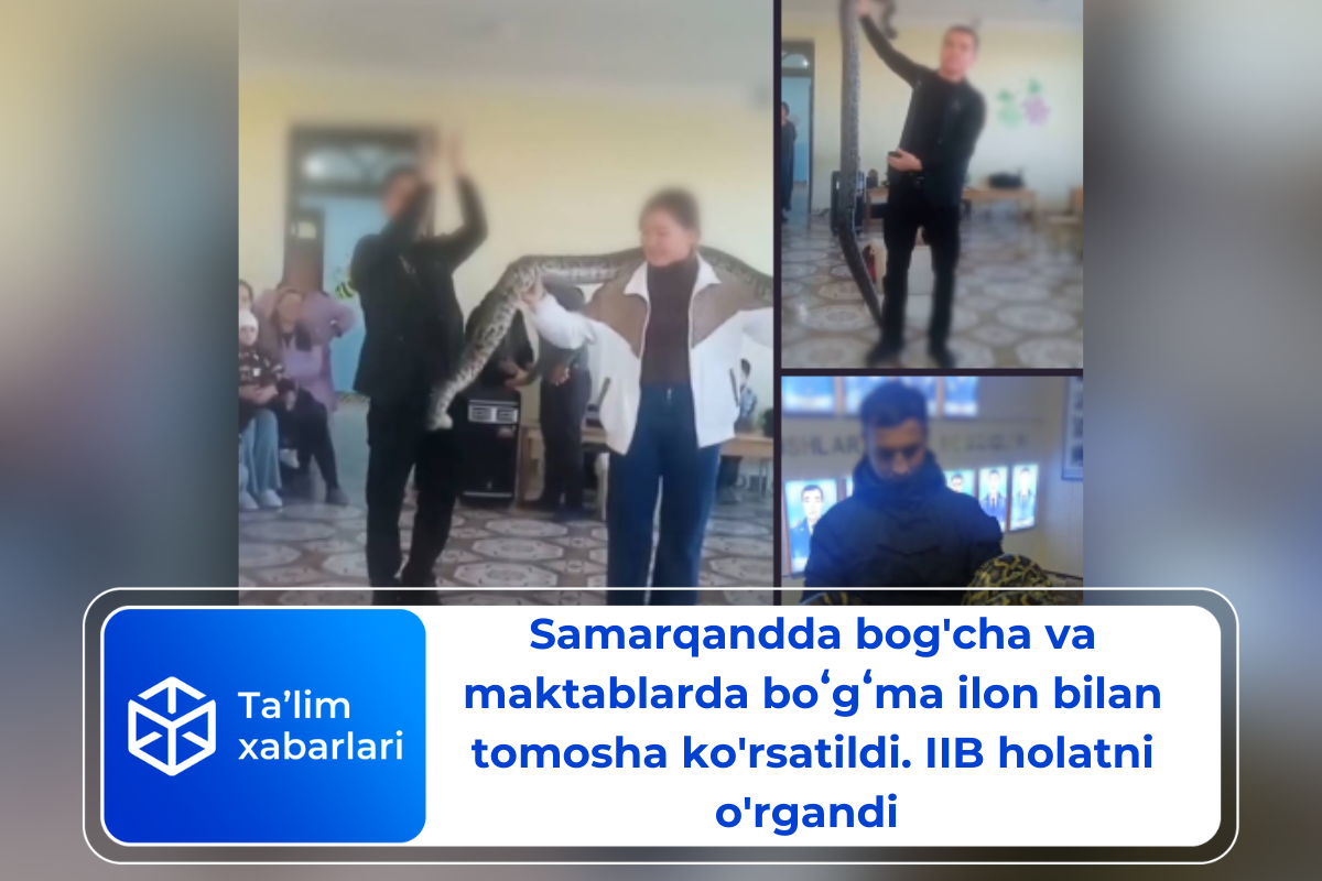 Samarqandda bog’cha va maktablarda boʻgʻma ilon bilan tomosha ko’rsatildi. IIB holatni o’rgandi