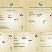 Qoraqalpogʻistonlik 9-sinf oʻquvchi qiz 5 ta fandan milliy sertifikat olib, muddatidan  3 yil oldin talabalikni naqd qildi