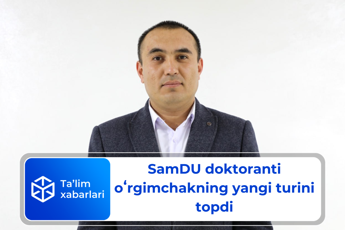 SamDU doktoranti oʻrgimchakning yangi turini topdi