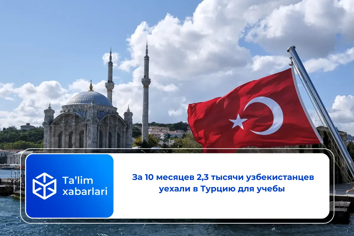 За 10 месяцев 2,3 тысячи узбекистанцев уехали в Турцию для учебы