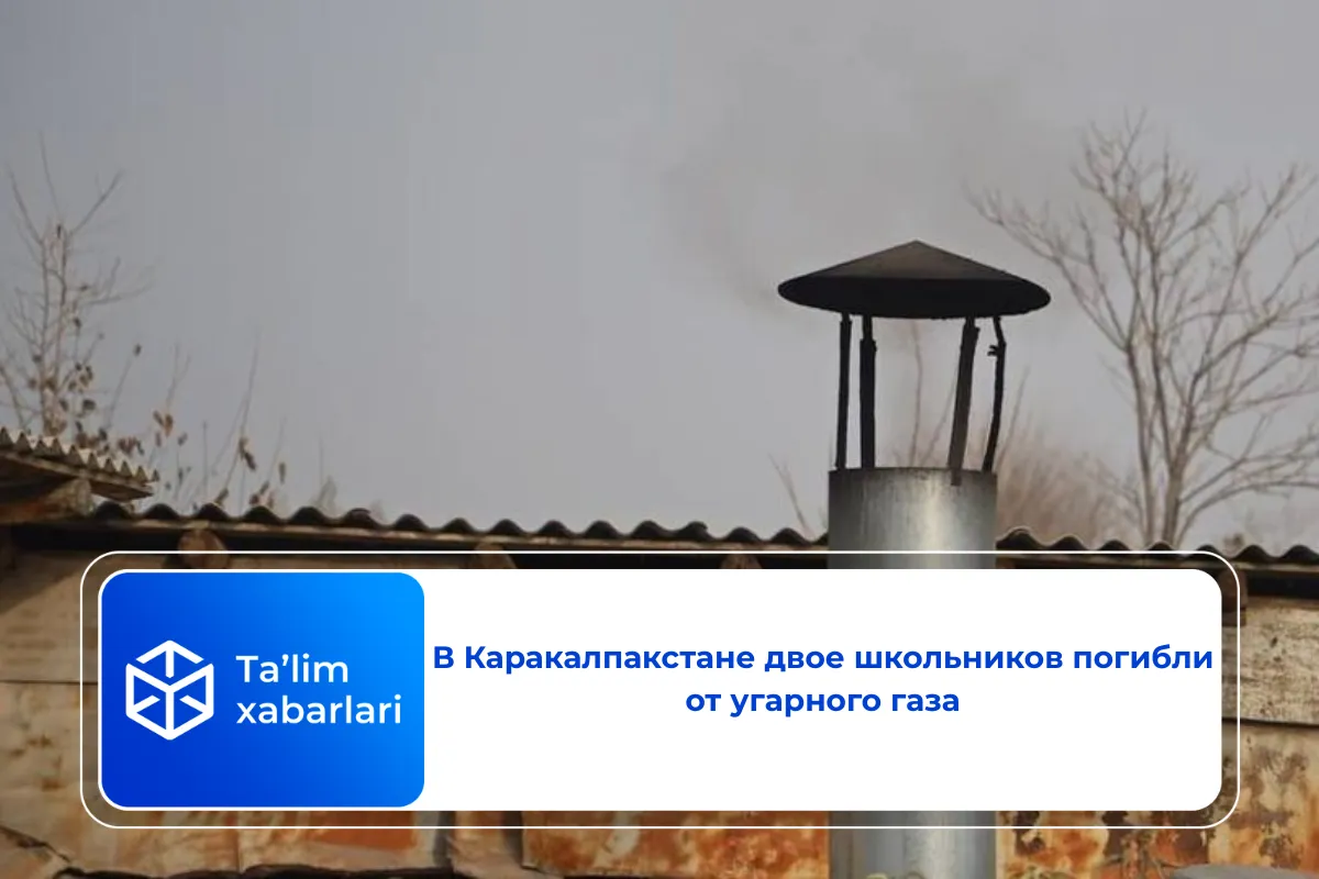 В Каракалпакстане двое школьников погибли от угарного газа
