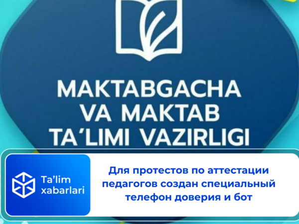 Для протестов по аттестации педагогов организован специальный телефон доверия и бот