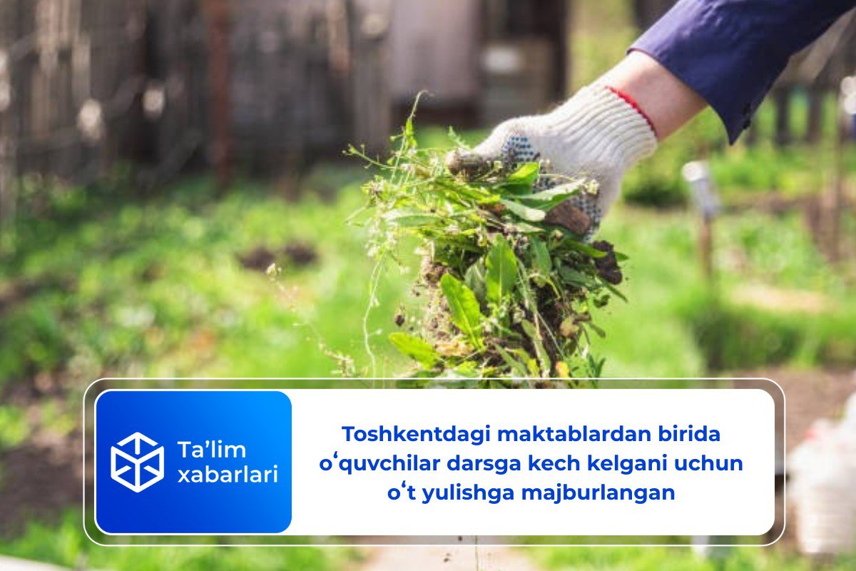 Toshkentdagi maktablardan birida oʻquvchilar darsga kech kelgani uchun oʻt yulishga majburlangan