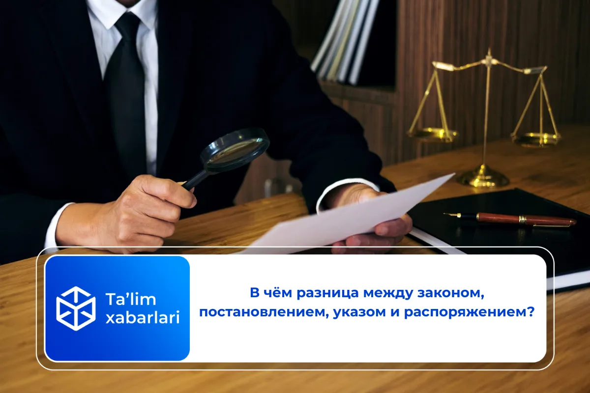 В чём разница между законом, постановлением, указом и распоряжением?